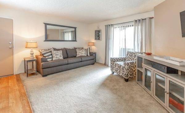 Plush Carpet & Woodgrain Flooring, Pet Friendly, Picnic Area