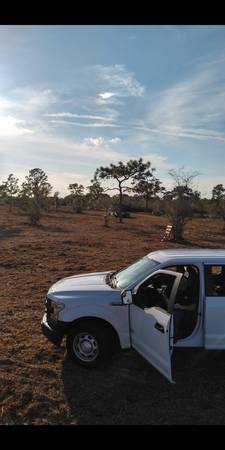 Forestry mulching & land clearing & under brush removal