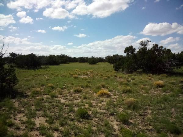 10 acres of Land for Sale