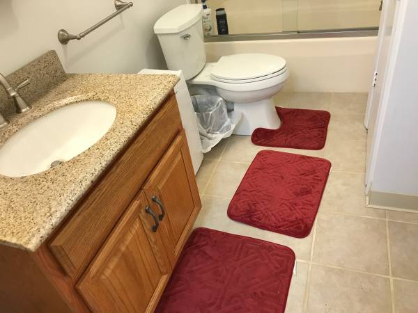 ITHACA COLLEGE 2023-24 Furnished Remodeled Kitchen/Bath Granite/Tile