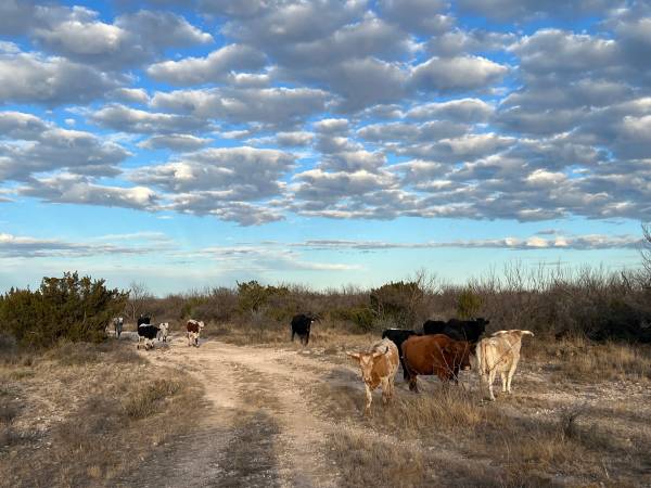 100 Acre. Ranch