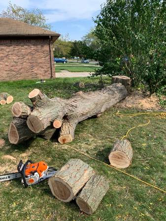 Tree Services Tree Removal / Tree Trimming / Stump Grinding