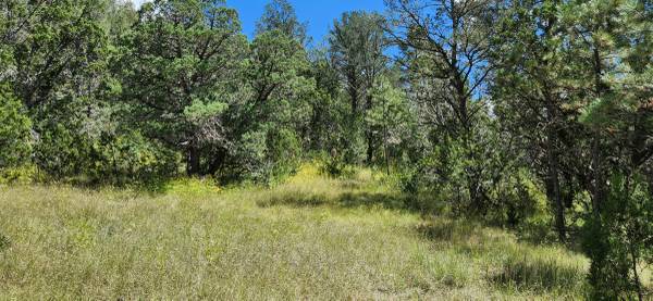 +/- 37.95 Acres in the Middle of Ruidoso—SELLER FINANCING AVAILABLE!