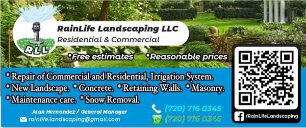 roofs decks snow removal service