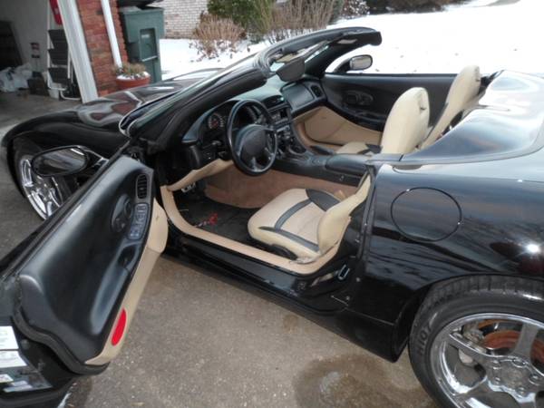 Full Upholstery Shop-Auto