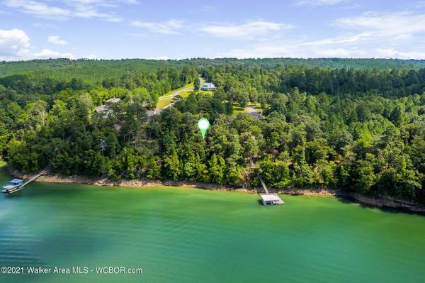 1 ACRE WATERFRONT LOT ON LEWIS SMITH LAKE