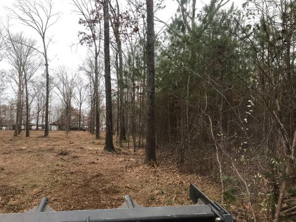 Forestry Mulching, Excavation, Land Clearing