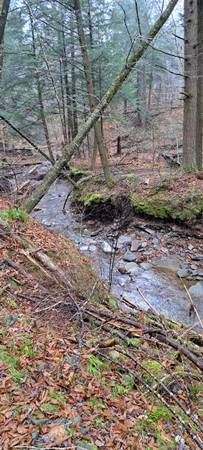 76 acres of land with stream upstate ny