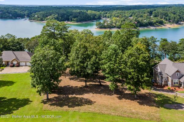 1 ACRE WATERFRONT LOT ON LEWIS SMITH LAKE