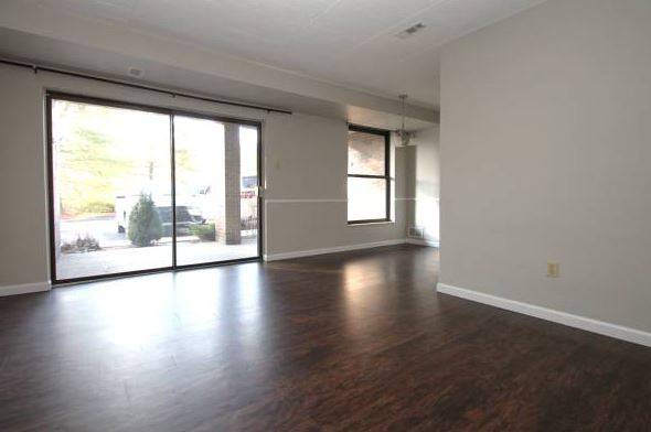 NICE UPGRATED!! AND SPACIOUS PAINTED UNIT 2/BR WITH 2-BATH, DOGS ALLOW