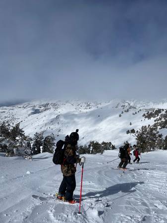 Ski and Snowboard Lessons