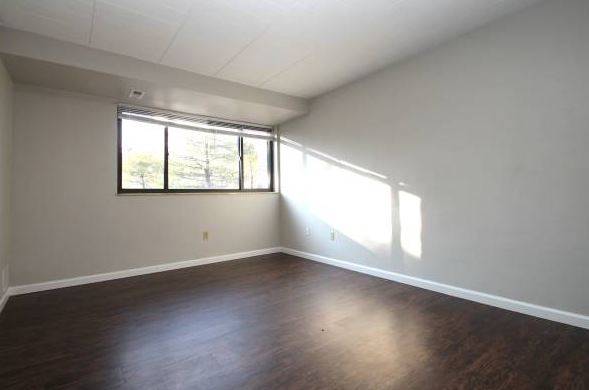 NICE UPGRATED!! AND SPACIOUS PAINTED UNIT 2/BR WITH 2-BATH, DOGS ALLOW