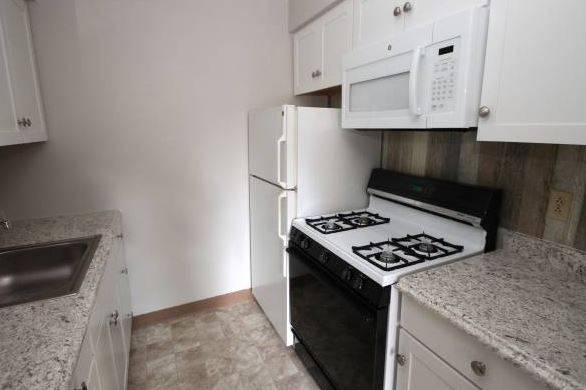 NICE UPGRATED!! AND SPACIOUS PAINTED UNIT 2/BR WITH 2-BATH, DOGS ALLOW