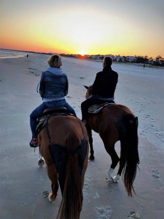 Beautiful 6br FL panhandle beach rental