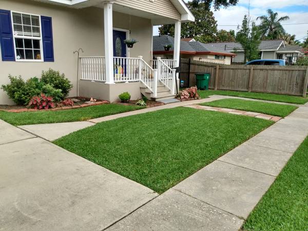 Lawn Care & Garden Maintenance service