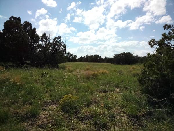 10 acres of Land for Sale