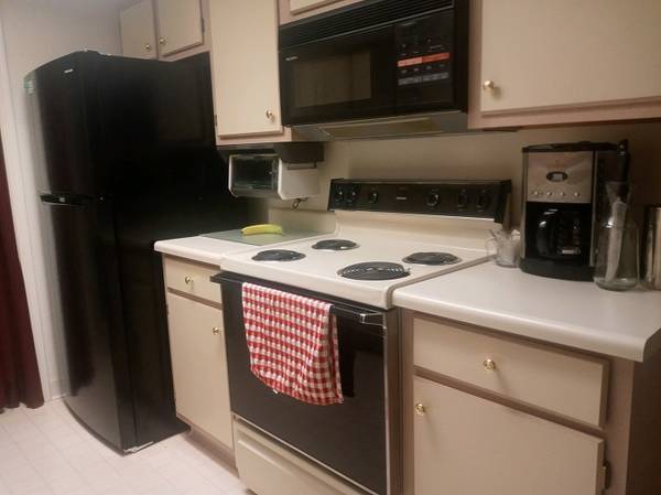 100% Furnished Condo Short or Long Term