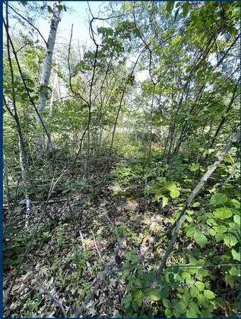 0.53 Acre Lot Next to Wetlands