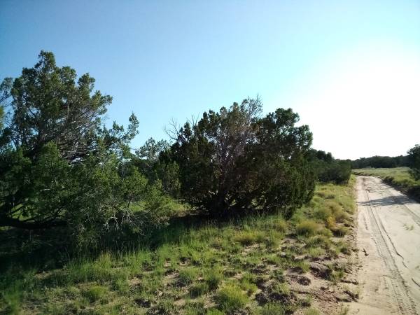 10 acres of Land for Sale