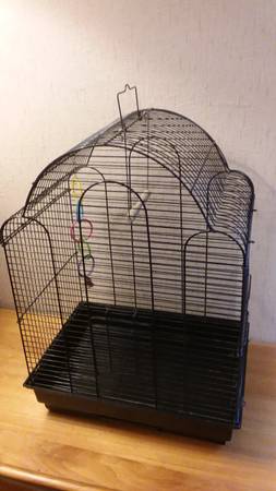 Bird Cages