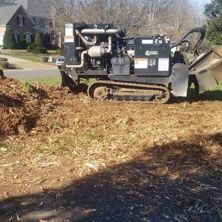 Stump Grinding Best Prices