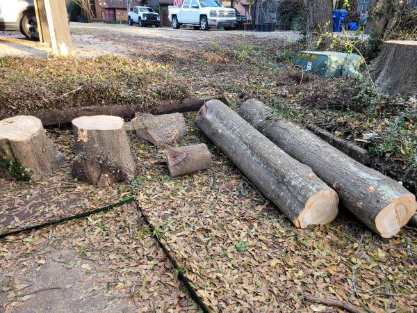 Need 2 large logs chopped/split