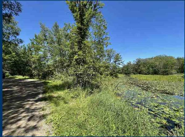 0.53 Acre Lot Next to Wetlands