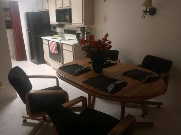 100% Furnished Condo Short or Long Term