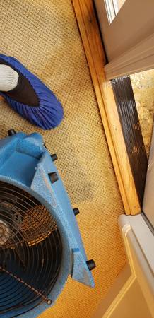 CARPET CLEANING, RESTORATION CLEANING, DREYERS