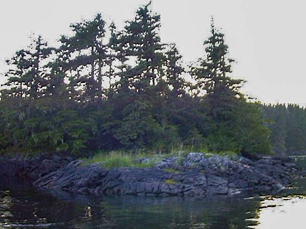 Island in Point Baker