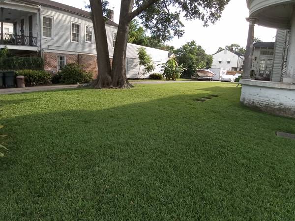 Lawn Care & Garden Maintenance service