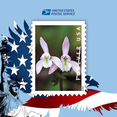 2020 Forever Stamps First Class Postage Stamps Wild Orchids 100pcs/Pac