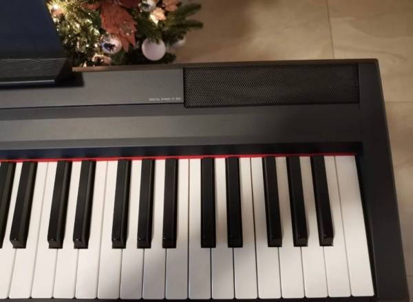 Yamaha P-105 digital Piano