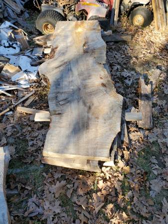 Large 3″ slab of Spalted Maple Log