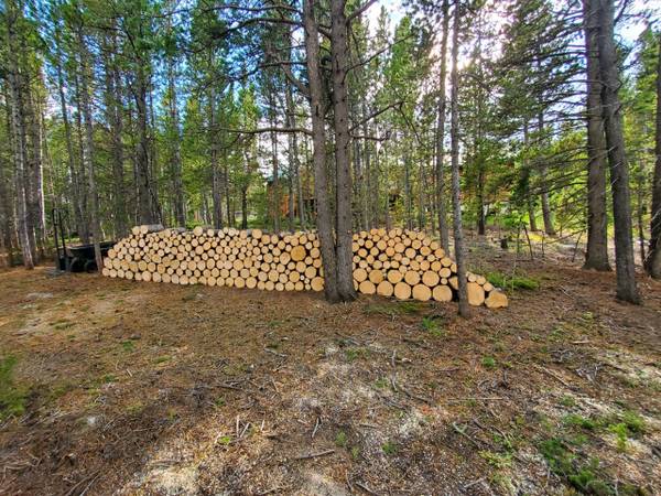 Arborist Services / Trees Cut Down & Bucked