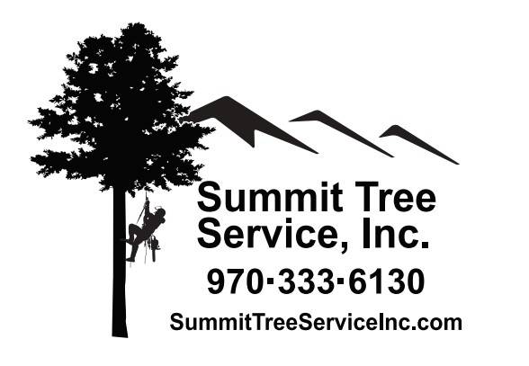 Arborist Services / Trees Cut Down & Bucked