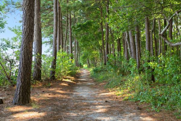 Stainless Steel Appliances, Kayak Storage, Private Beach Access