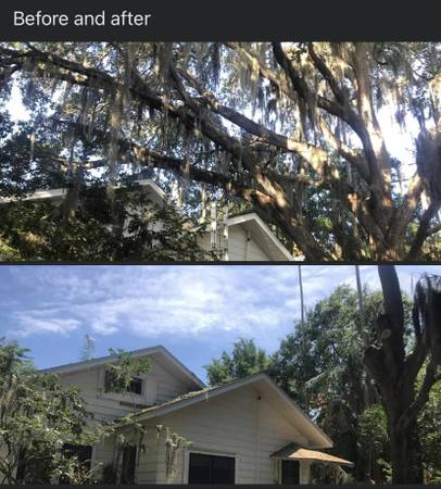 Tree service, tree trimming, tree removal, stump removal, hedge trim