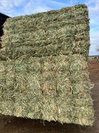 Sudan Hay