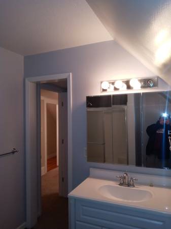 Paint any room $100