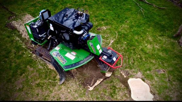 Tree Services Tree Removal / Tree Trimming / Stump Grinding