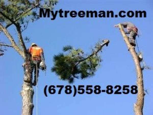 ?? Estimate FREE~TREE CUT 678-558-8258 Removal Service’s www.mytreeman