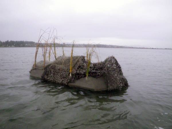 Floating duck blind