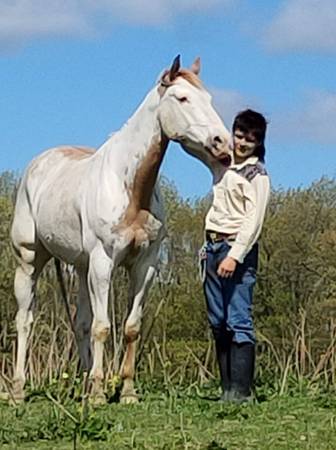 Traveling Horse Trainer