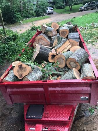 Landscaping, lawn care, yard clean up, tree trimming, tree removal