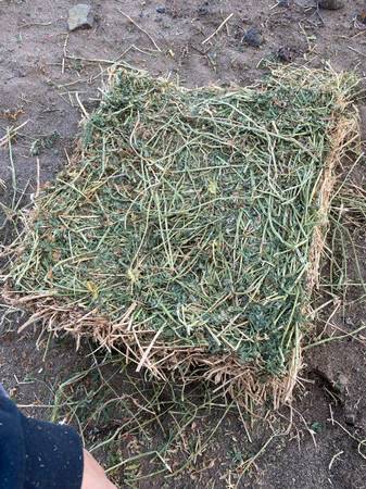 ALFALFA HAY 2nd/3rd