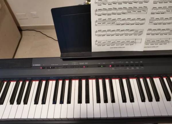 Yamaha P-105 digital Piano