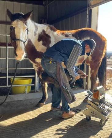 Affordable Horseshoes and Trims