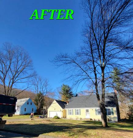 Tree Removal & Trimming Services/ Fall leaf Clean up