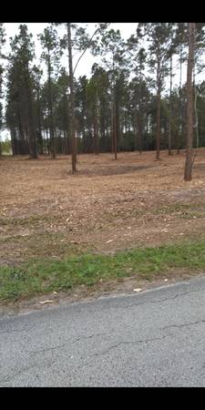 Forestry mulching & land clearing & under brush removal